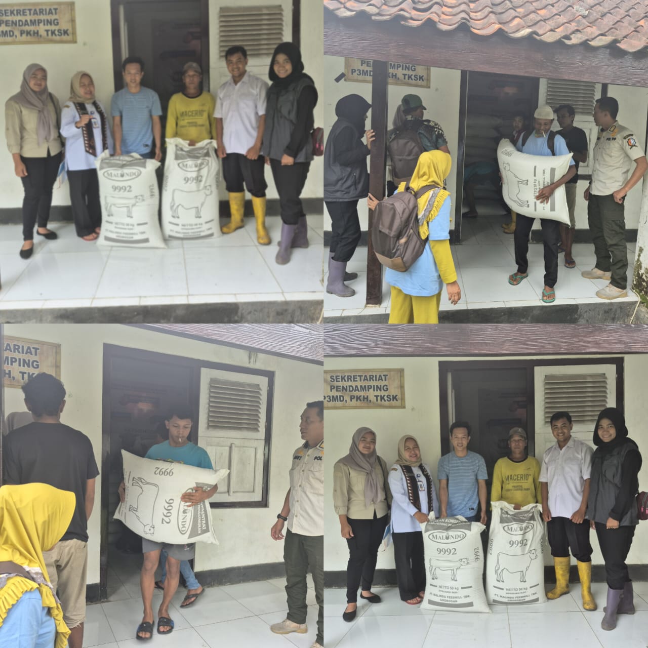 PENYALURAN PAKAN DOMBA KESEJAHTERAAN /KONSENTRAT