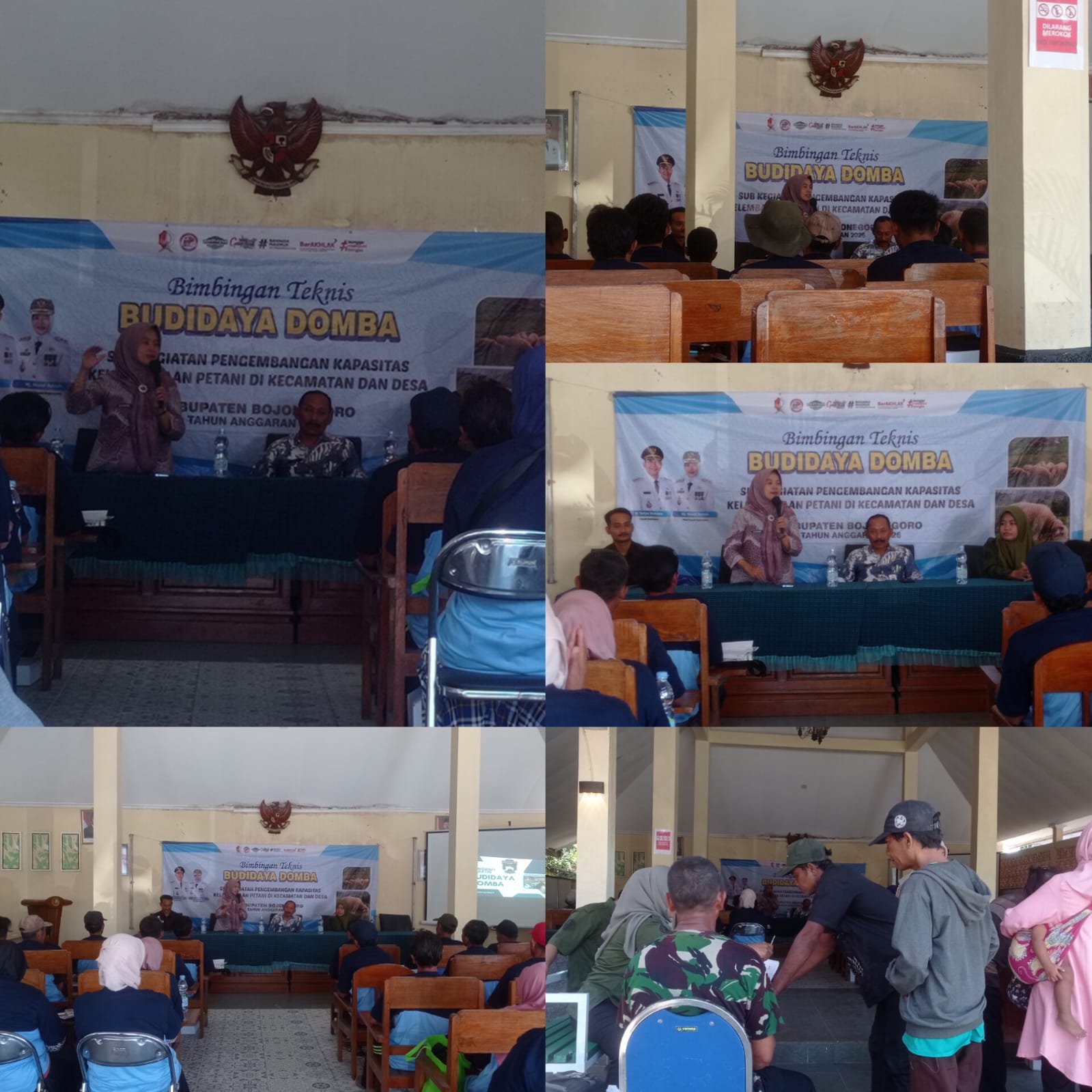BIMBINGAN TEKNIS BUDIDAYA DOMBA