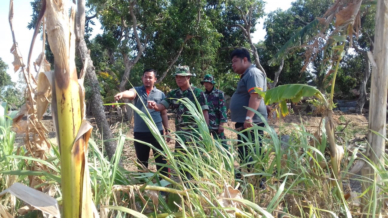 KARYA BAKTI TNI PEMBUATAN JL PERTANIAN (10/10/19)